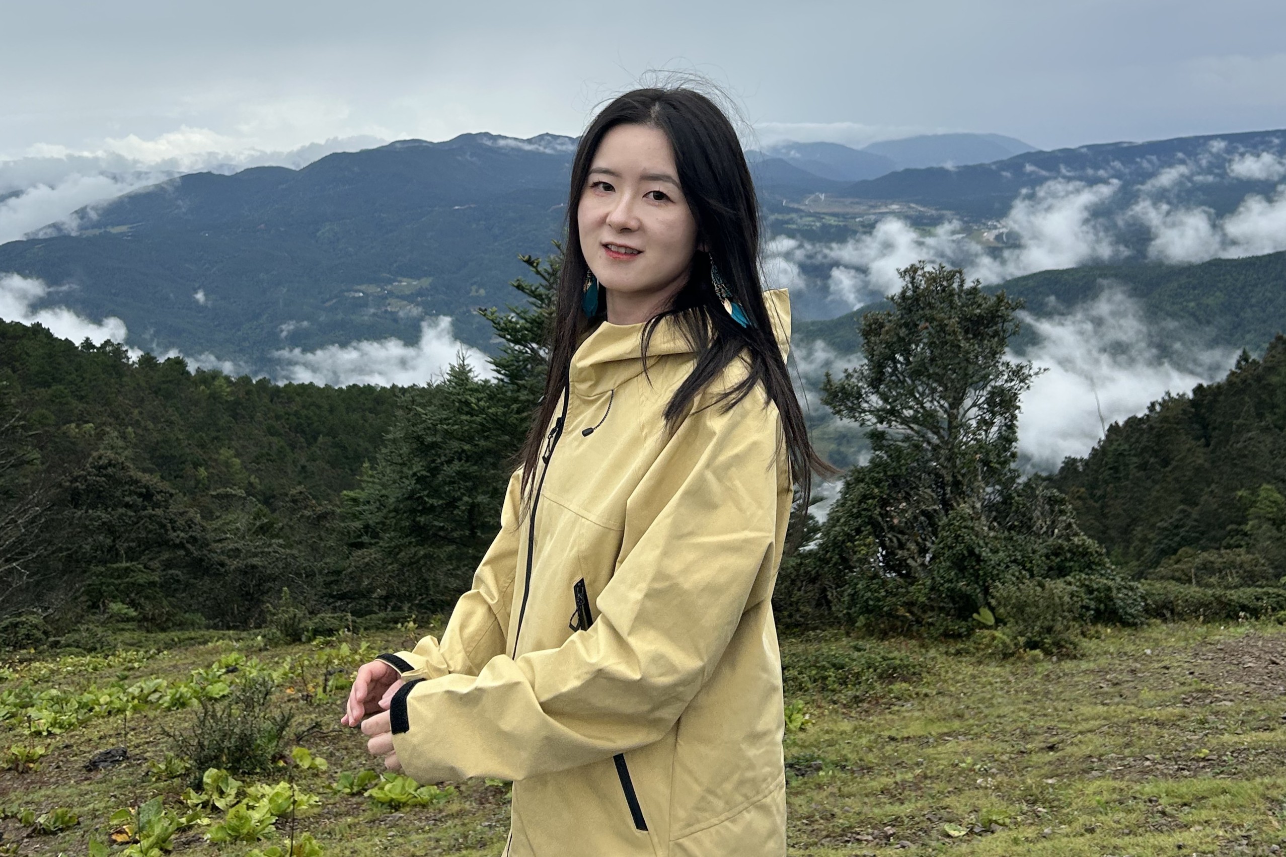 内容洞察现场
